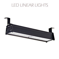 ELS LED Linear Lights